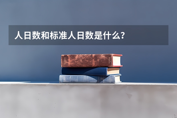 人日数和标准人日数是什么?