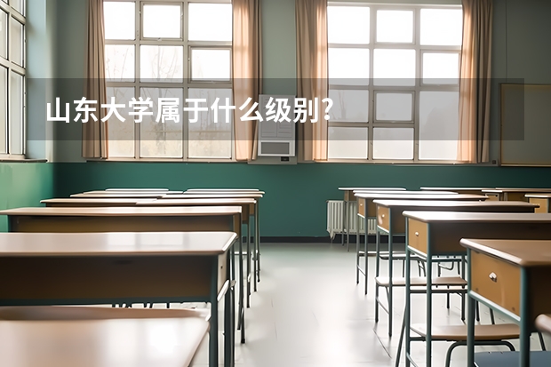 山东大学属于什么级别?