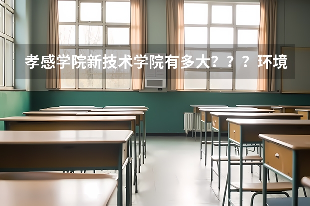 孝感学院新技术学院有多大？？？环境怎样？？？和孝感学院的学生一起吃住吗 ？？/