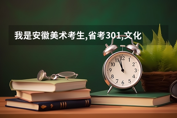 我是安徽美术考生,省考301,文化课估计在370到400之间,省内能上什么大学?