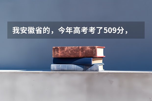 我安徽省的,今年高考考了509分,我是文科生,比二本线高8分,请问我能在安徽省内上哪些比较好的学校?