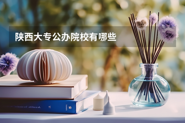 陕西大专公办院校有哪些