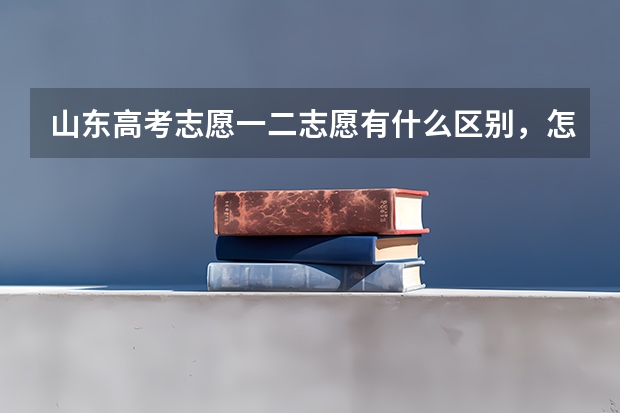 山东高考志愿一二志愿有什么区别，怎么报