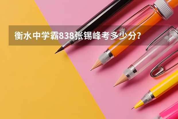 衡水中学霸838张锡峰考多少分?