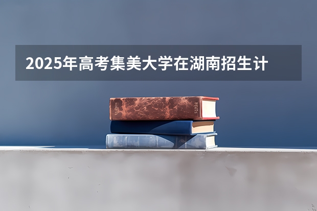 2025年高考集美大学在湖南招生计划