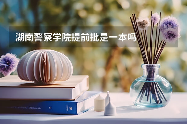 湖南警察学院提前批是一本吗