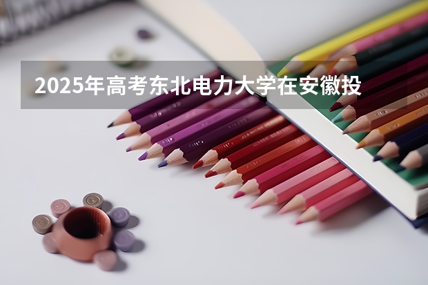2025年高考东北电力大学在安徽投档分数线详解
