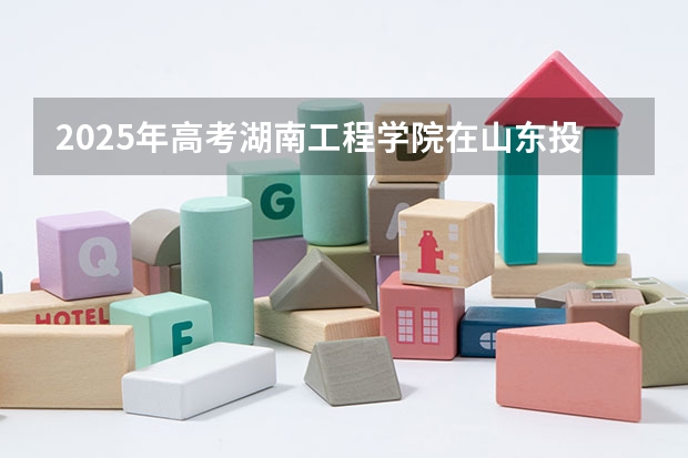 2025年高考湖南工程学院在山东投档分数线详解
