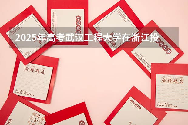 2025年高考武汉工程大学在浙江投档分数线详解