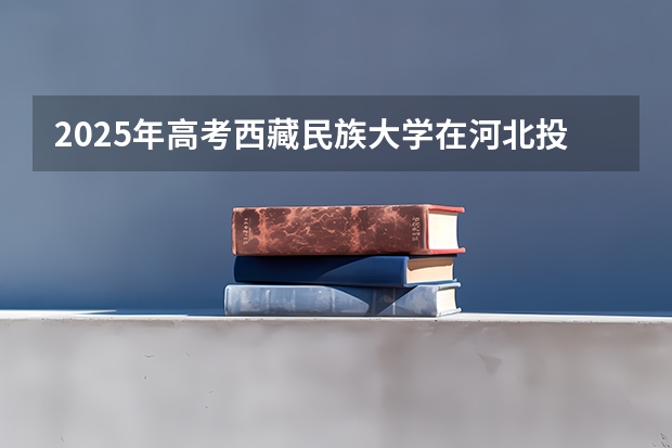 2025年高考西藏民族大学在河北投档分数线详解