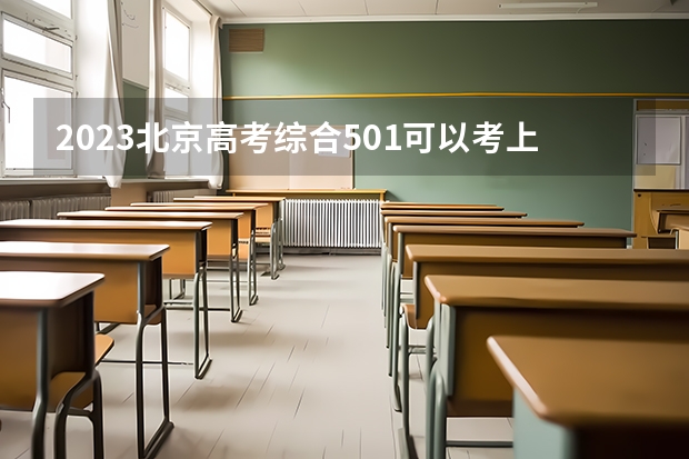 2023北京高考综合501可以考上什么大学