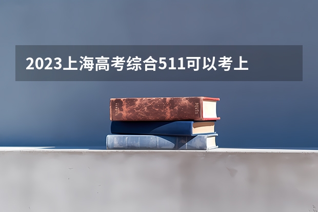 2023上海高考综合511可以考上什么大学