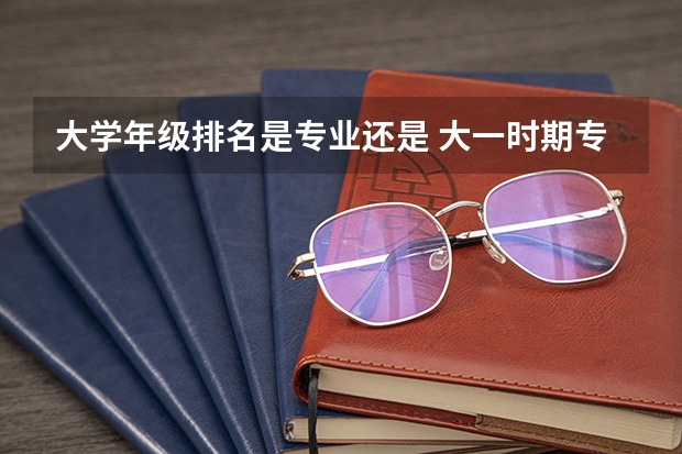 大学年级排名是专业还是 大一时期专业排名怎么算