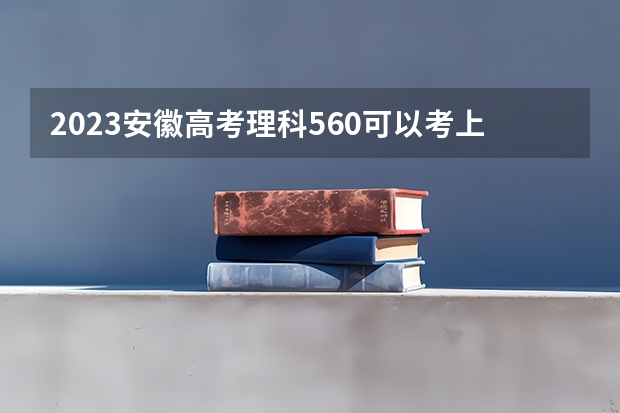 2023安徽高考理科560可以考上什么大学