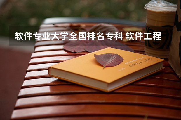 软件专业大学全国排名专科 软件工程专业的专科大学有哪些?