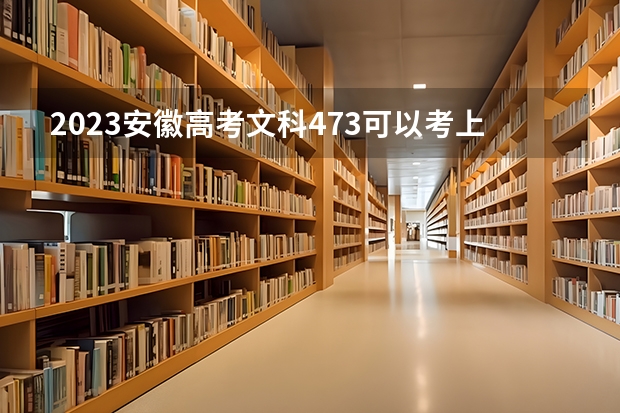 2023安徽高考文科473可以考上什么大学