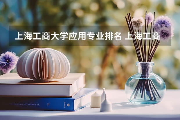 上海工商大学应用专业排名 上海工商职业技术学院排名多少?在上海排第几位?怎么样好不好?